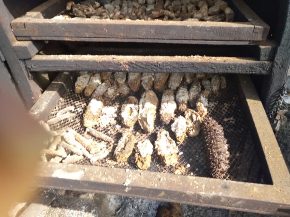 Dried Holothuria whitmaei sea cucumber