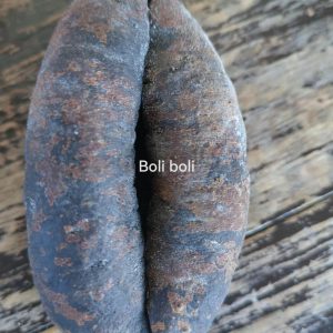 Dried Actinopyga Lecanora Sea Cucumber