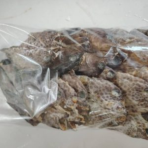 Daing Lapu Lapu Dried Grouper